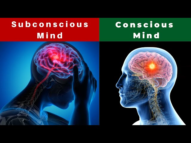 Subconscious and Conscious Mind || How the Mind Works|| Rojib EEE Academy