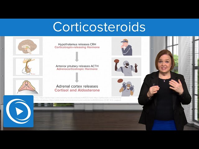 Corticosteroids – Pharmacology | Lecturio Nursing