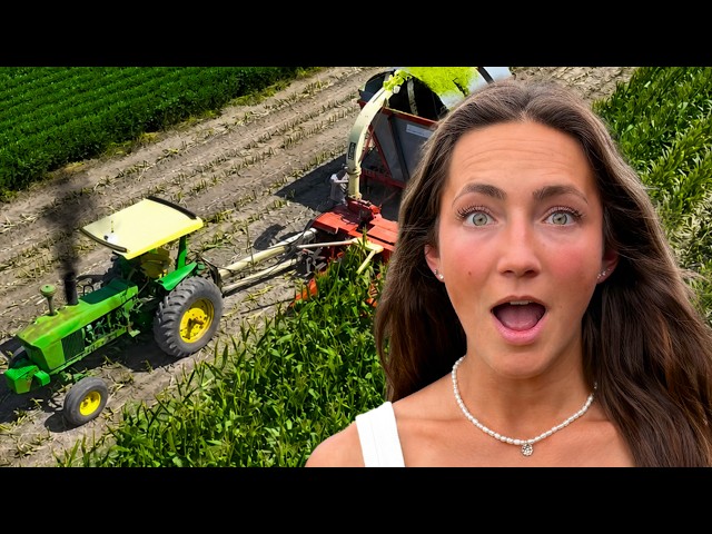 Chopping Silage For The First Time Ever