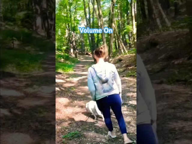 Hiking Humor: Comedy Hit The Trails #hiking #humor #comedy #trails #shorts #viralshorts