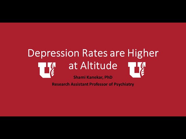 Therapeutics Targeting Brain Bioenergetics May Be Effective as Antidepressants [CC]