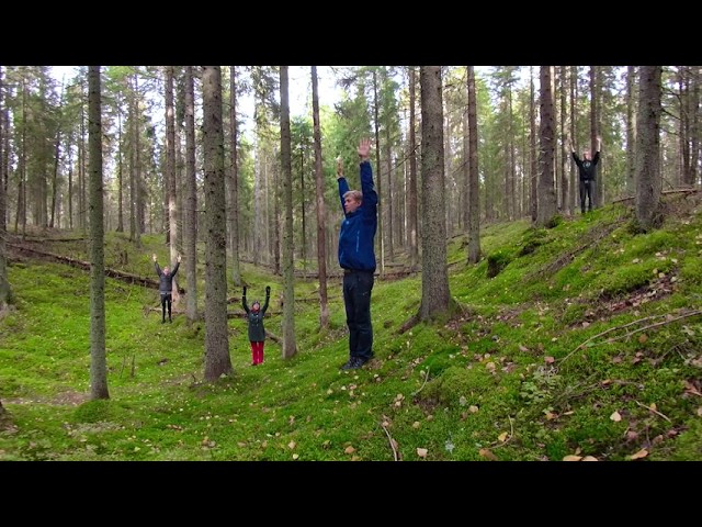 FOREST YOGA (360 video) | Virtual Outdoors Finland