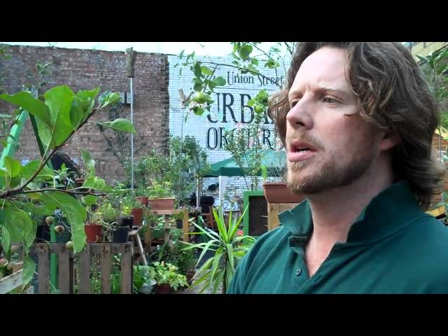 Union Street Urban Orchard  Tour