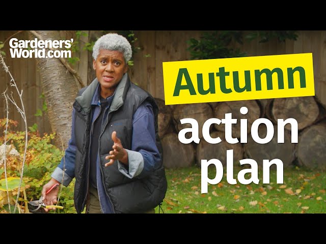 The FIVE most important AUTUMN GARDEN jobs