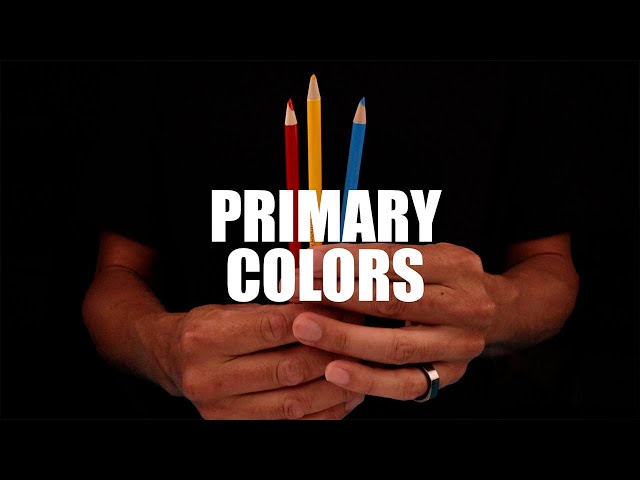 Color Theory Basics for Beginners
