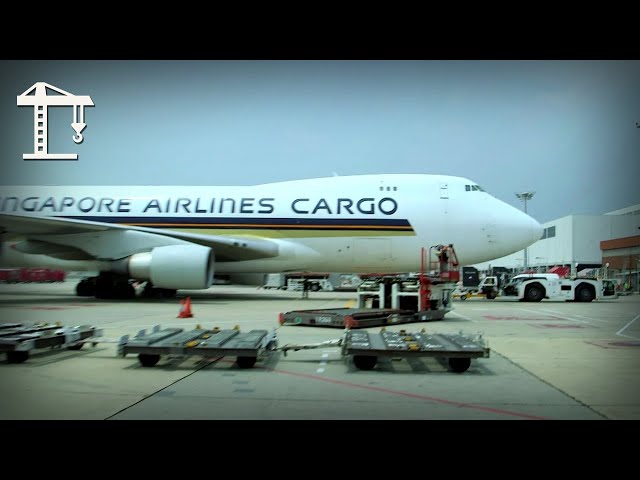 Bird Flu Scare at Changi: Tweety Detained, F1 Cargo Race, 787 Pushback
