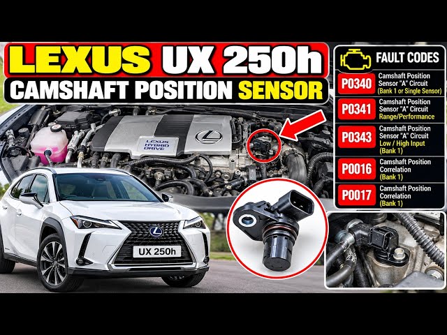Lexus UX 250h faulty cam shaft position sensor cleaning process. Fault codes P0340, P0341, P0343.
