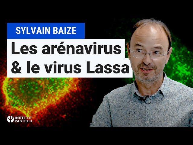 Développement de vaccins contre des infections provoquant des fièvres hémorragiques | Témoignage 🥼