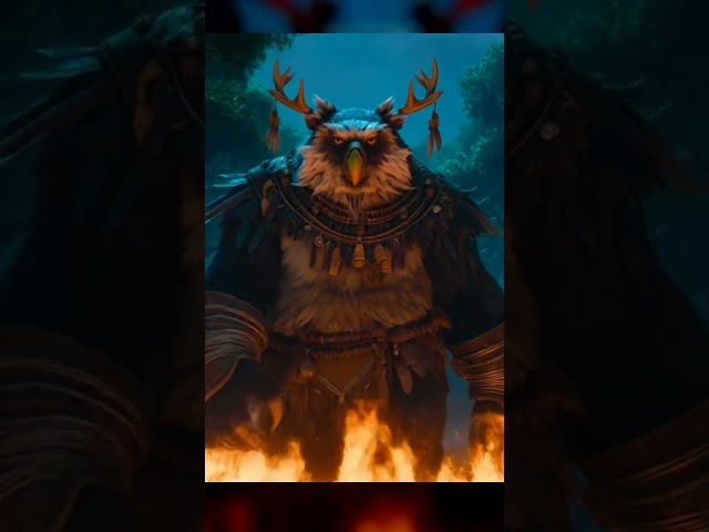 The Boomkin