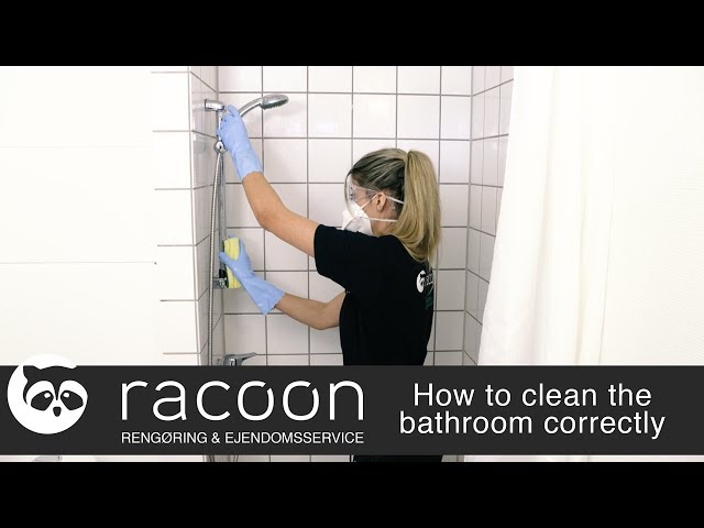How to clean the bathroom correctly