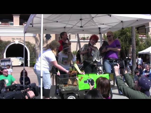 Ugly Dog Contest (in 2009)