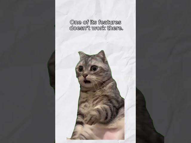 Will Your MCP Server Work Across Clients? Explained by Cats