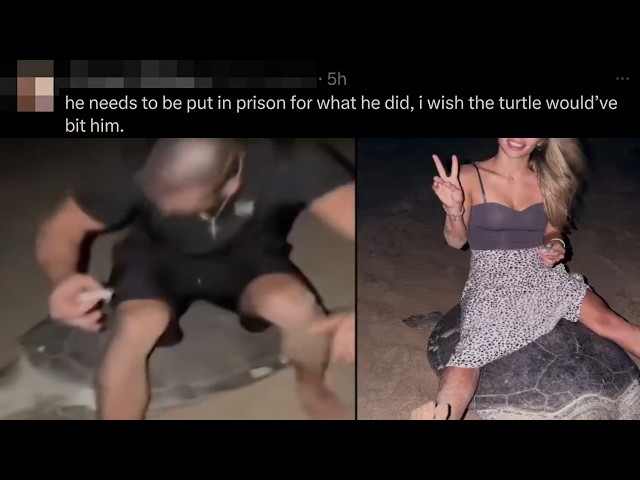 Disgusting Influencer Situation