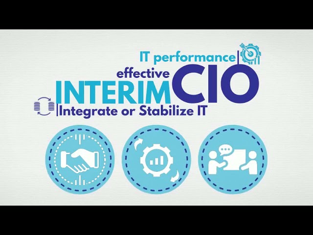 Interim CIO service
