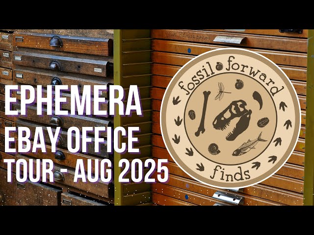 A Tour of My Ephemera eBay Office: Organized Chaos - August 2025