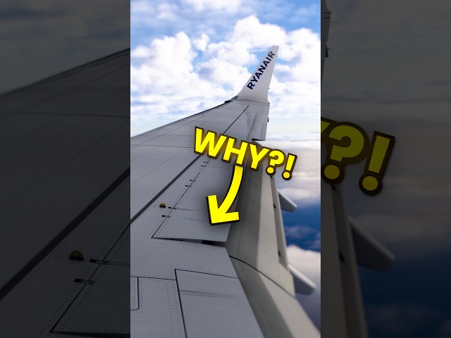 Spoilers & Thrust Together?! | 737 MAX LAM Explained