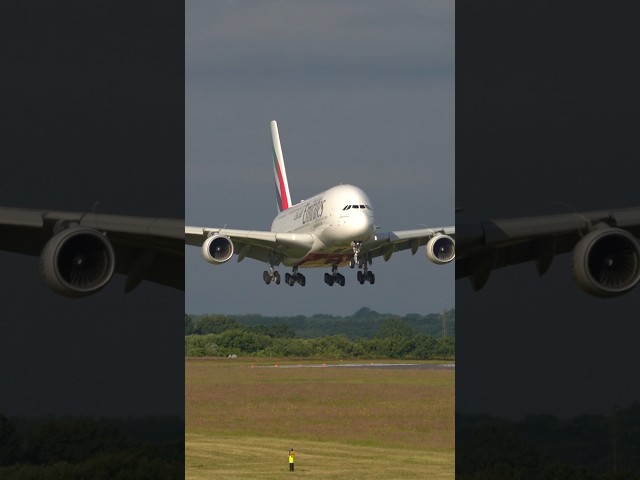 Check Out The Flaps On That Beast ✈️