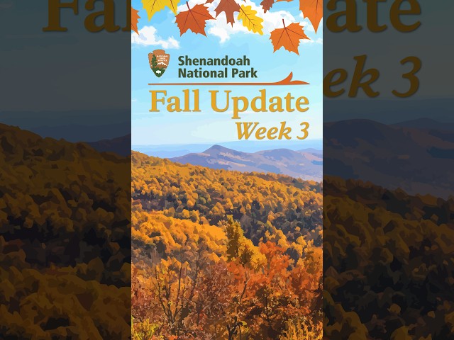 Fall Updates: Week 3 - October 8, 2026