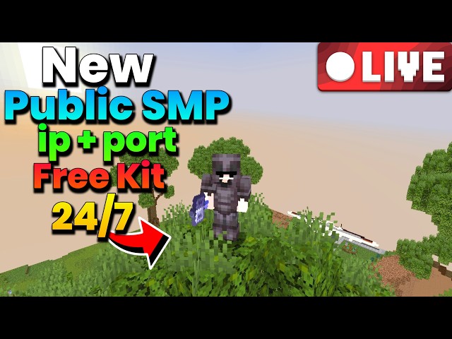 Exploring a New Public Minecraft Server with Subscribers