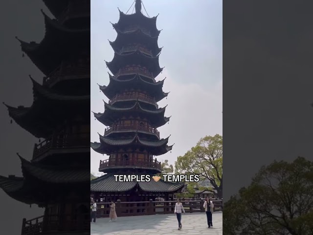 TEMPLES meet TEMPLES. #alternative #indiemusic #rock #shorts