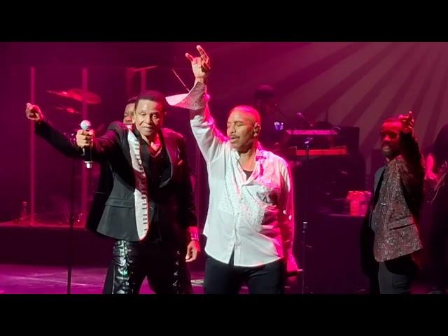 The Jackson's Shake Your Body