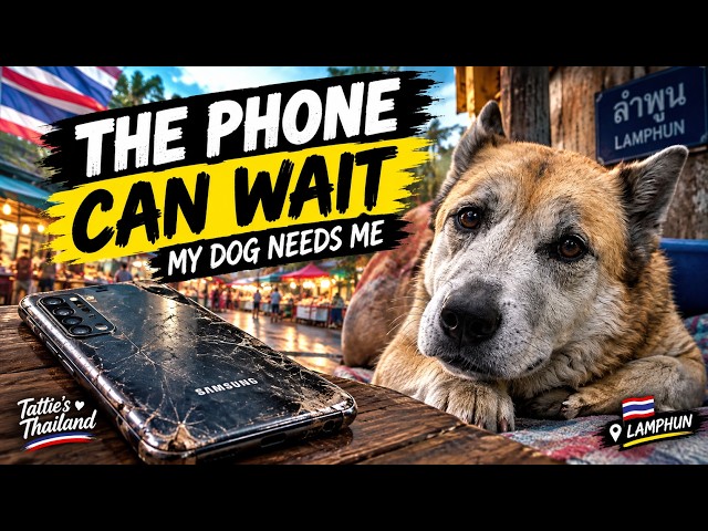 I Was Saving This Money for a New Phone… Then My Dog Got Sick Again