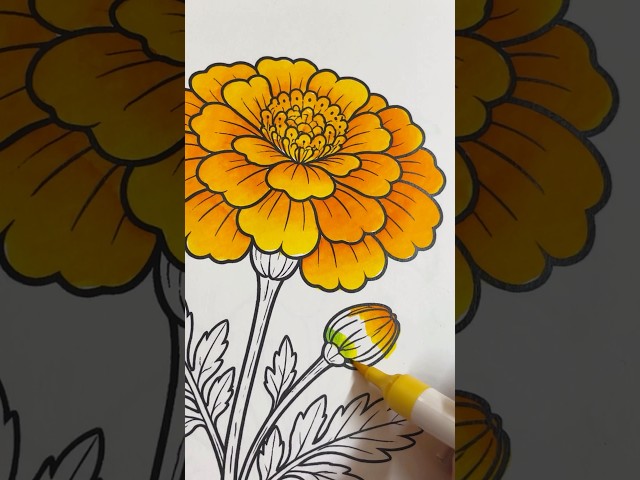 Beautiful flower colouring book 🌸✨🌸✨ #art #drawing #shorts