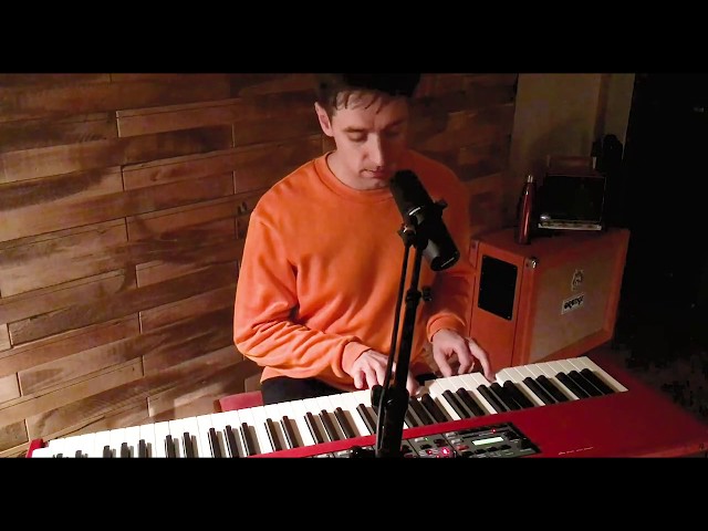 Taylor Swift - Lover [Cover by ONR]