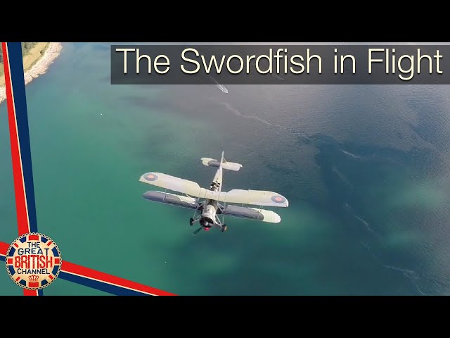 The Swordfish in Flight