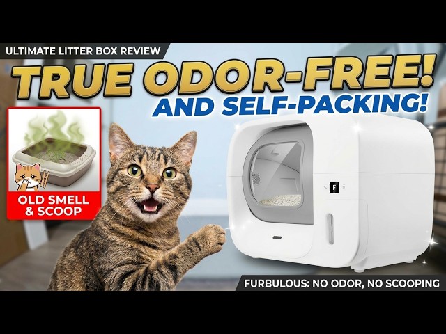 The WARNING Before You Buy Furbulous Litter Box!