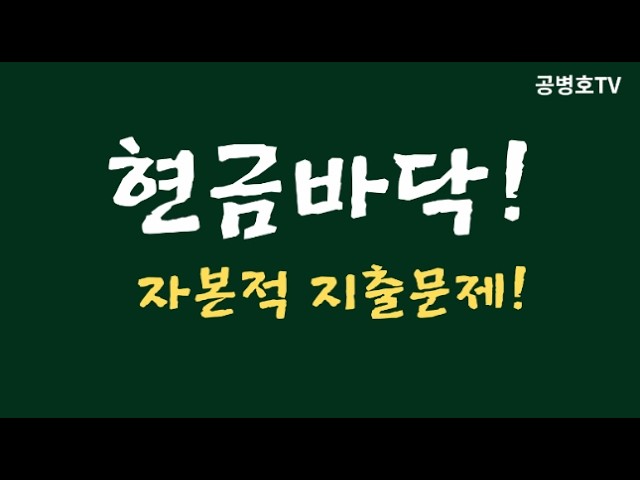 [Investment] Cash Burn, Warning Bell / Capital Expenditure, Needs a Closer Look [Gong Byung-ho TV]