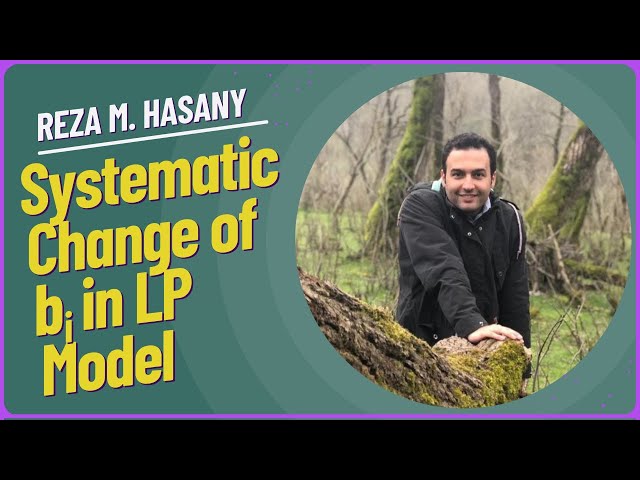 Parametric Linear Programming  Systematic Change of bᵢ Explained