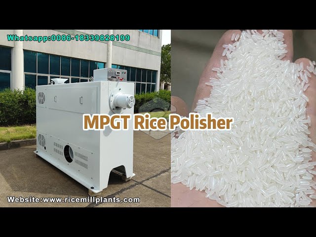 Rice Polishing Machine | Rice Polisher for Rice Processing Process #ricepolisher #ricepolishmachine
