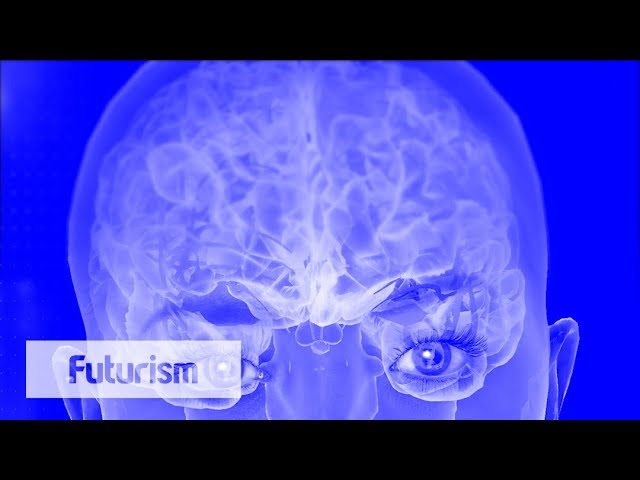 Lifelike, Emotionally Responsive AI