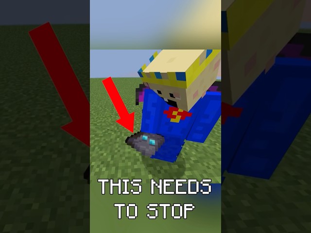 THIS NEEDS TO STOP… #helpmemakethismakesense #minecraft #minecraftshorts #memes