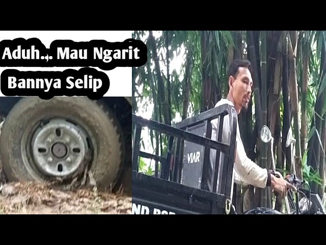 mau berangkat Ngarit, Bannya malah selip #Viar, #Banselip #motor roda tiga