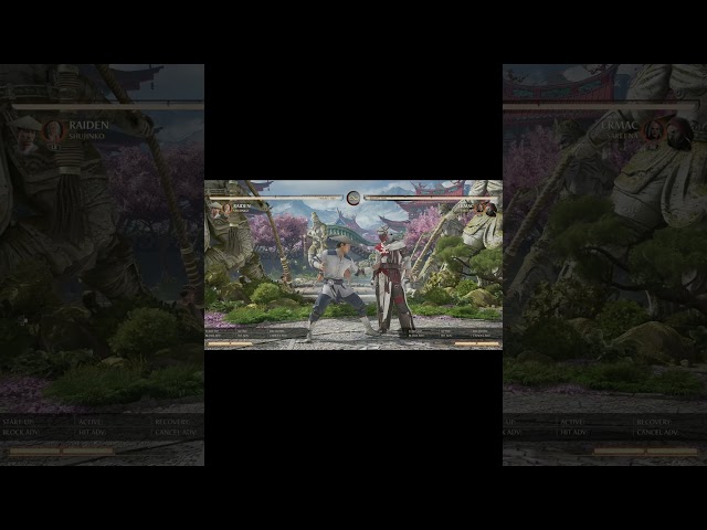 Raiden Shujinko vs Ermac Combo Swag!