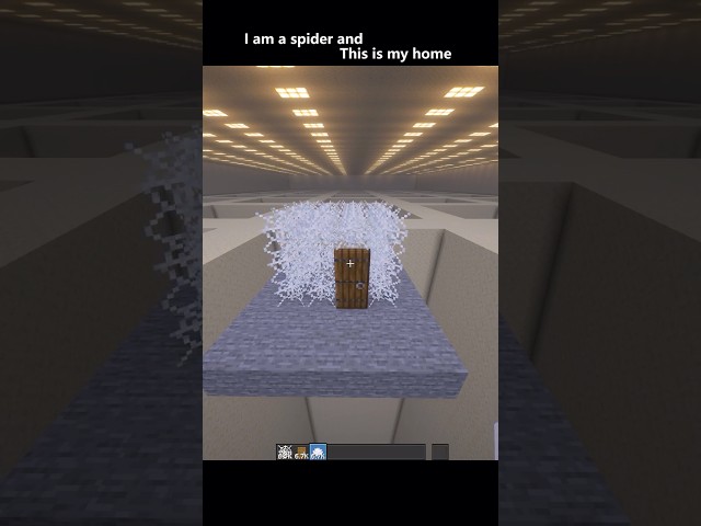 #filtertiktok