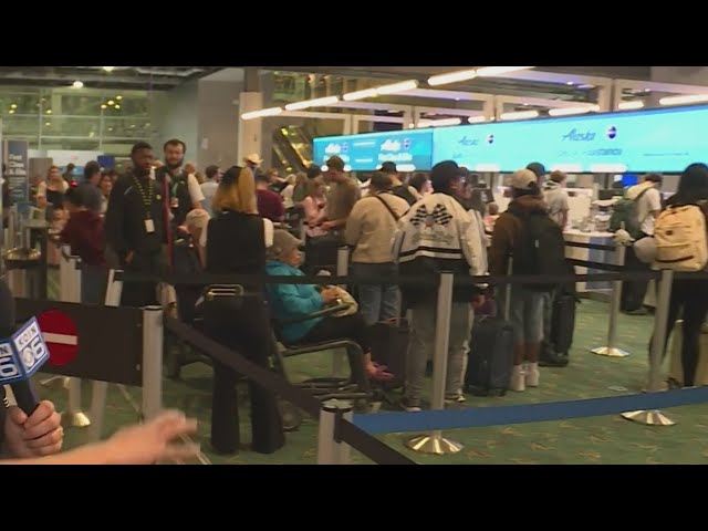 Alaska Airlines flights grounded nationwide by IT issue