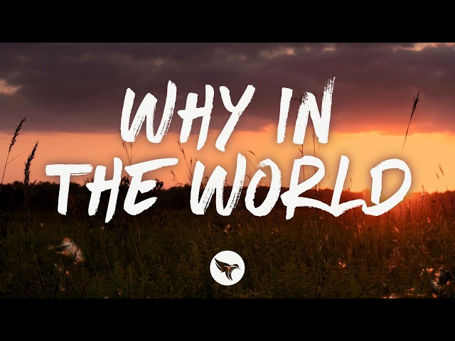Maddie Lenhart - Why in the World (Lyrics)