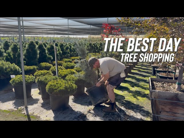 We Found a WHOLESALE Nursery… This Could Be Dangerous (sorry about the audio) 