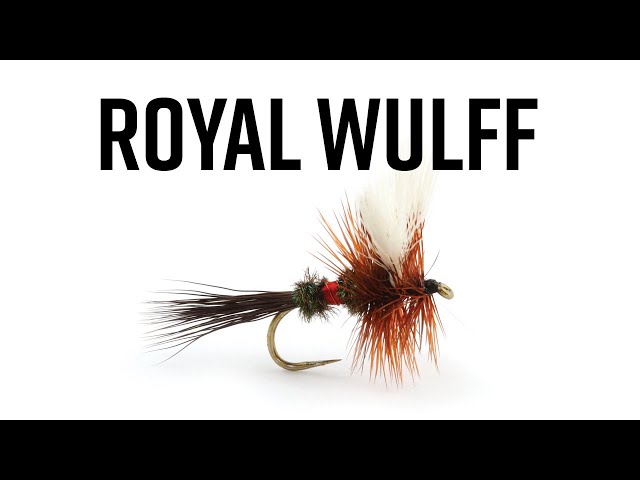 Royal Wulff