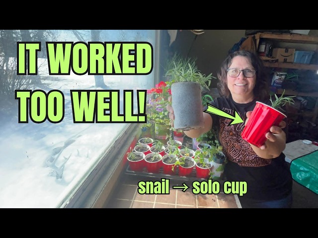 The Seedling Snail Method Worked TOO Well — What should I do now?