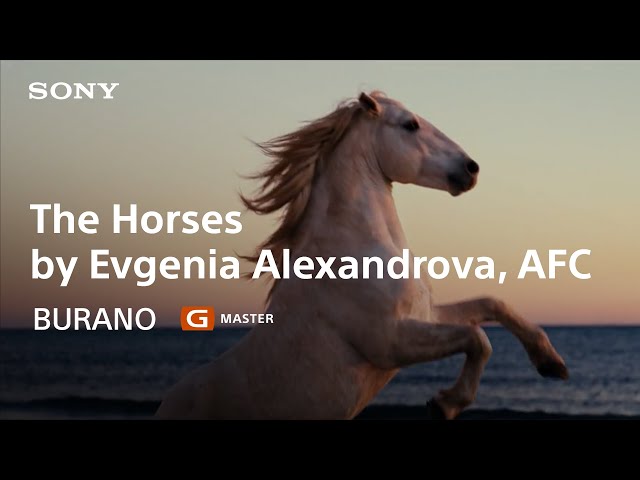 Shot on BURANO × G Master : The Horses | A Film by Cinematographer Evgenia Alexandrova, AFC