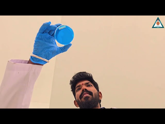 PhD Dentistry