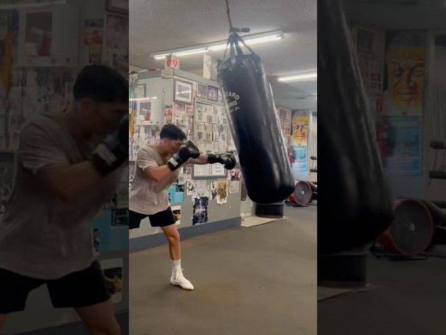 Wild Card Boxing Gym | Wicked 805 Limited Gloves