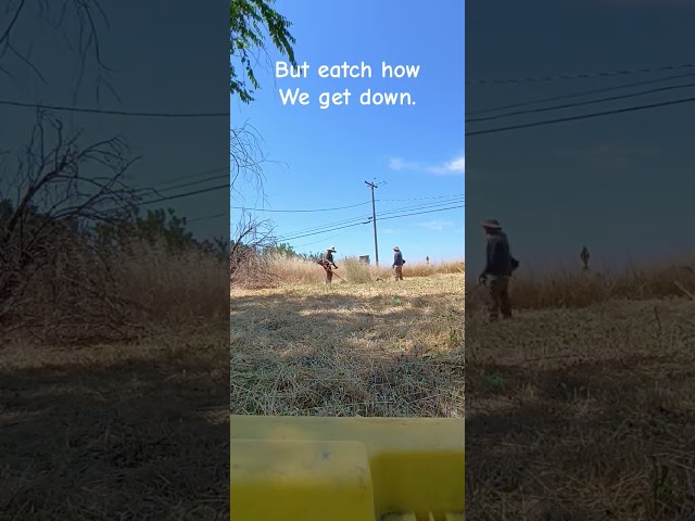 weed whacking 2 acres Did we smash it like a cup cake?  #weeding #weedwhip #weedchannel #weedscience