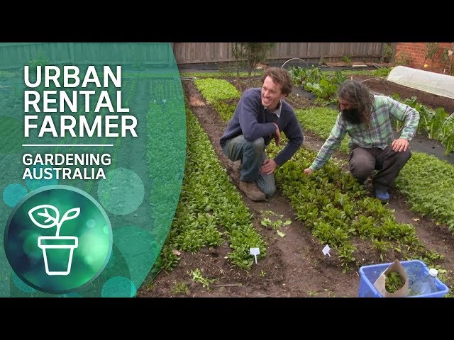 Urban Rental Farmer