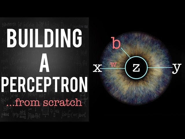 Building a Perceptron From SCRATCH (no frameworks, only math and python) - The Origins of AI - Ep.1