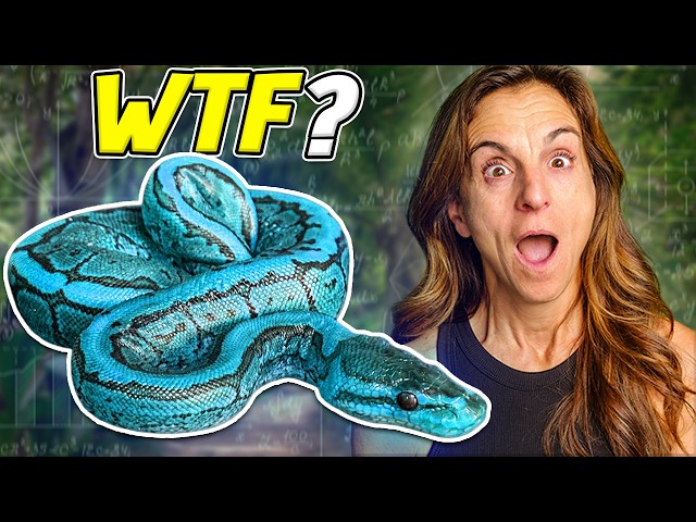 We've Never Hatched a Mystery Snake Like This!